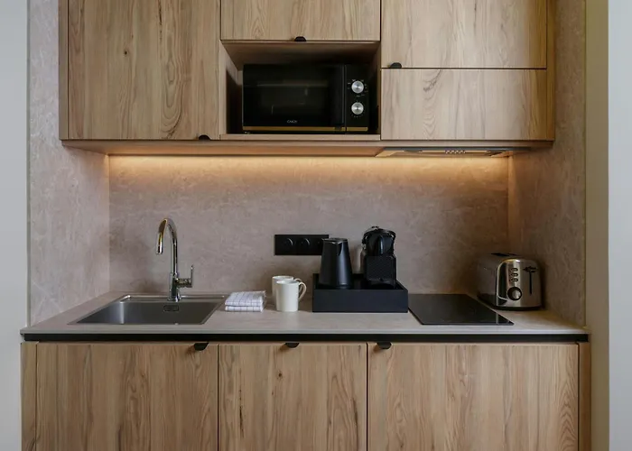 Residence Inn By Marriott Lille 3* Λιλ